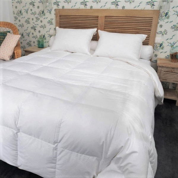 Couette MANUFACTURE CASTEX King Size mi-saison oie tempérée 220g/m² - 2 tailles
