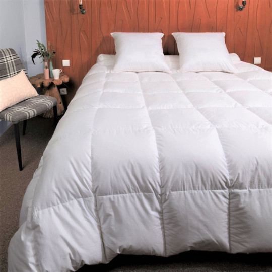 Couette MANUFACTURE CASTEX King Size Hiver oie Chaude 300g/m² - 2 tailles