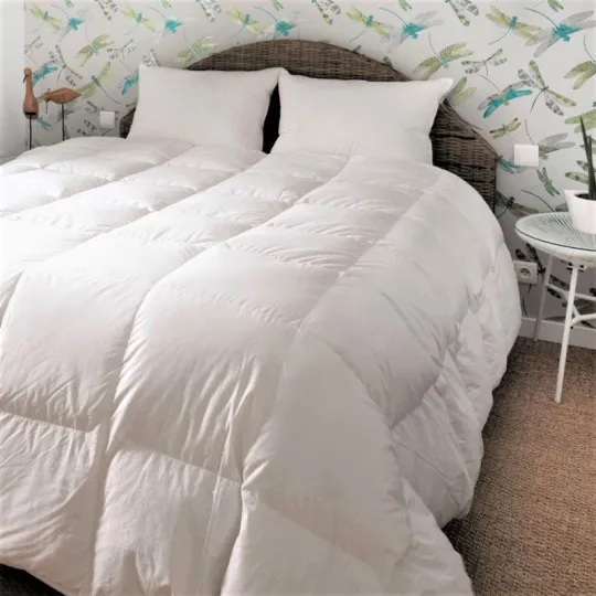 Couette MANUFACTURE CASTEX King Size mi-saison canard tempérée 250g/m² - 2 tailles