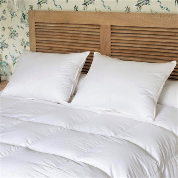 Oreiller MANUFACTURE CASTEX bio et écologique 90% duvet canard - 3 tailles