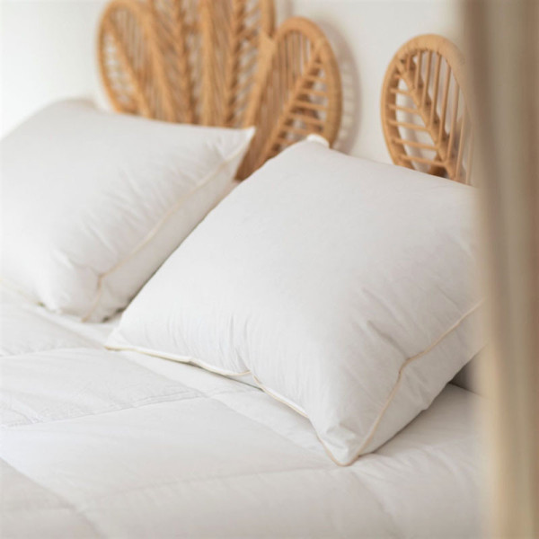 Oreiller MANUFACTURE CASTEX bio et écologique 90% duvet canard - 3 tailles