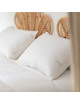 Oreiller MANUFACTURE CASTEX bio et écologique 90% duvet canard - 3 tailles