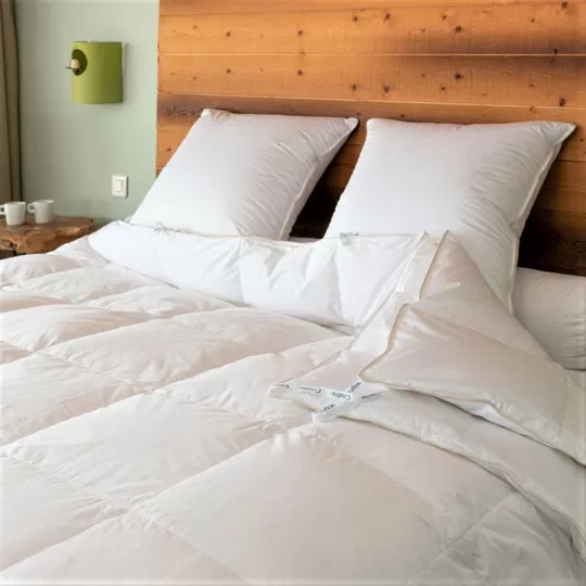 Couette MANUFACTURE CASTEX 4 saisons canard chaleur modulable 200g + 130g/m² - 4 tailles