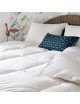 Couette MANUFACTURE CASTEX King Size mi-saison canard tempérée 250g/m² - 2 tailles