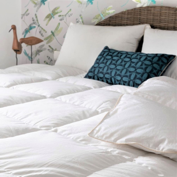 Couette MANUFACTURE CASTEX mi-saison canard tempérée 250g/m² - 4 tailles