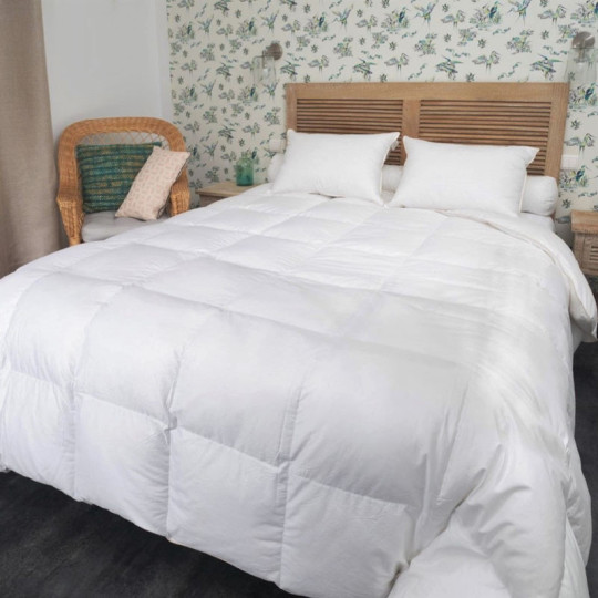 Couette MANUFACTURE CASTEX mi-saison oie tempérée 220g/m² - 4 tailles