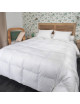 Couette MANUFACTURE CASTEX mi-saison oie tempérée 220g/m² - 4 tailles