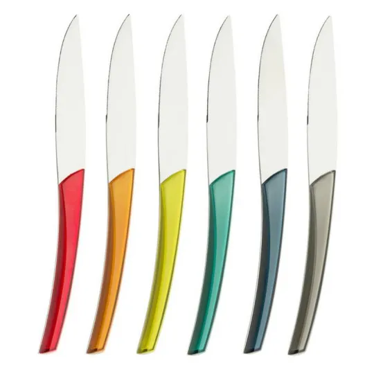 Coffret de 6 couteaux à steak GUY DEGRENNE Quartz Miroir Multicolore