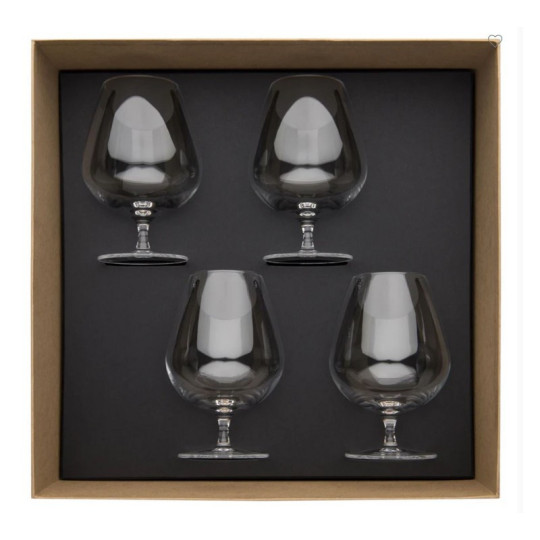 Coffret de 4 verres à cognac DEGRENNE Anytime 61cl