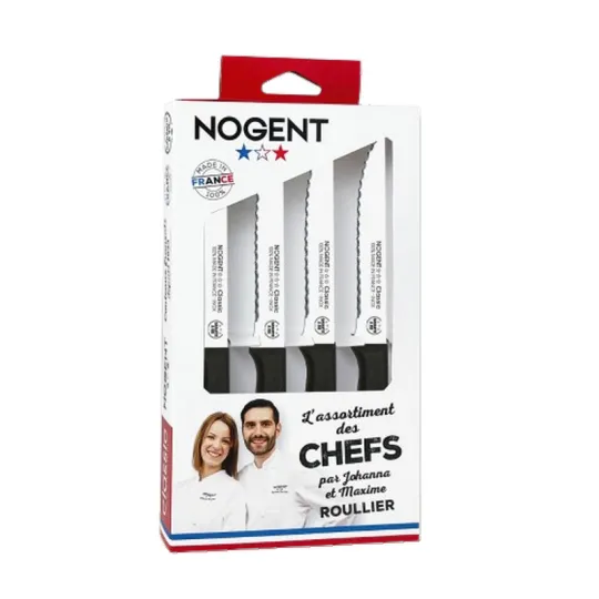 Coffret 4 pièces couteaux à steak NOGENT