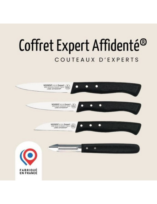 Coffret 4 pièces couteaux de cuisine NOGENT Expert affidenté polypro