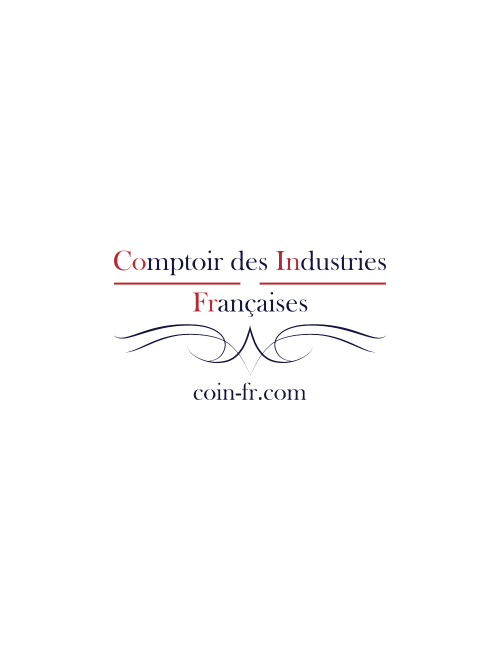 2 vérins (non dissociables) pour sommier cofel