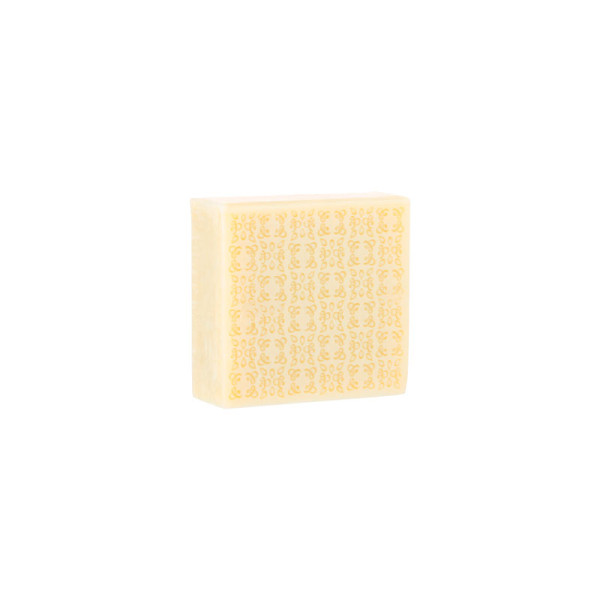 Savon de Marseille PLANTES & PARFUMS à l'aloé vera 100g - 4 parfums
