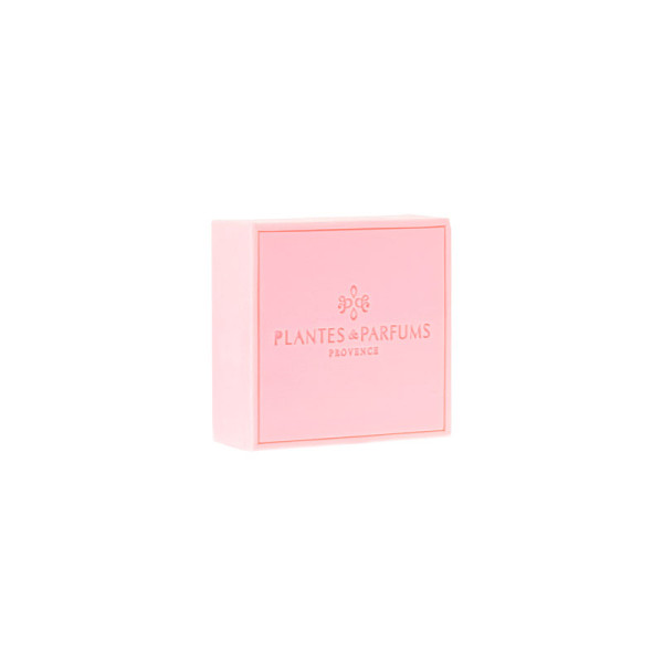 Savon de Marseille PLANTES & PARFUMS à l'huile d'Argan 100g - 3 parfums