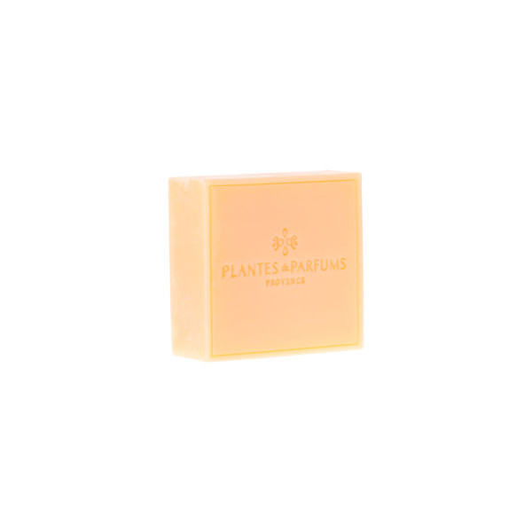 Savon de Marseille PLANTES & PARFUMS à la cire d'abeille 100g Miel Amande
