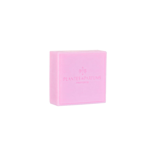 Savon de Marseille PLANTES & PARFUMS au karité 100g - 3 parfums