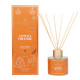 Bouquet parfumé PLANTES & PARFUMS 100ml Collection de Noël - 6 parfums