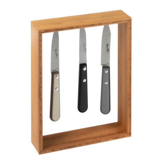 Set de 3 couteaux ROGER ORFEVRE avec support aimanté
