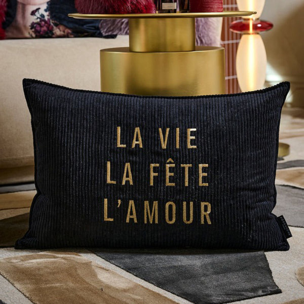 Coussin velours Vie Fête Amour PODEVACHE rectangulaire 40x60cm