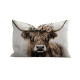 Coussin velours Kanderstag PODEVACHE rectangulaire 40x60cm