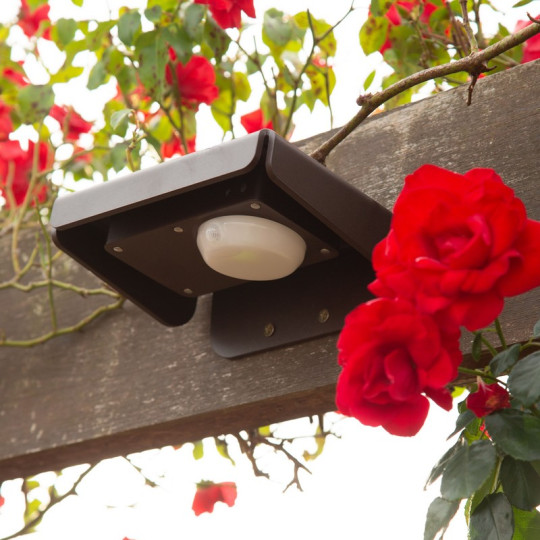 Applique CHABANNE Eclairage solaire ROC 158 30-100-200 lumens - 2 coloris