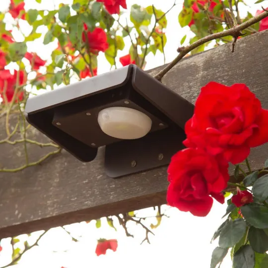 Applique CHABANNE Eclairage solaire ROC 158 30-100-200 lumens - 2 coloris