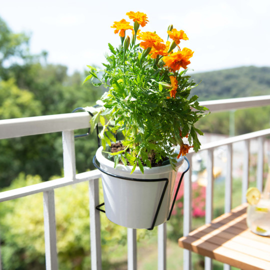 Porte-pots LOUIS MOULIN Basics crochet 15-20cm noir pour balcon