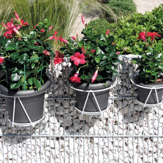 Porte-pots LOUIS MOULIN soucoupe crochet 25cm pour balcon - 2 coloris