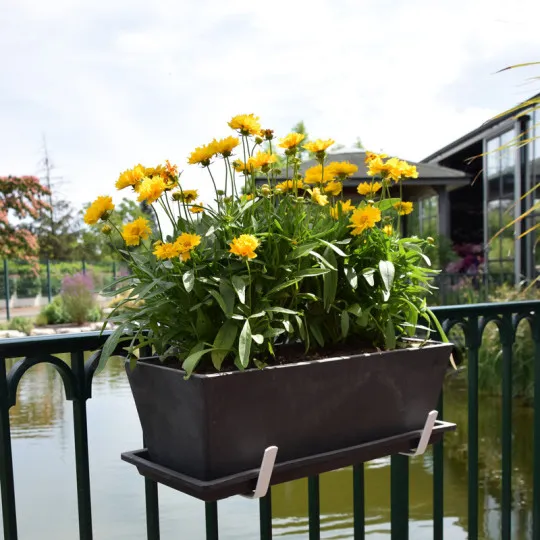 Support jardinière LOUIS MOULIN fer plat fixations réglables 35x18cm pour balcon - 2 coloris