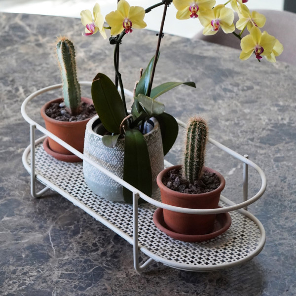 Centre de table LOUIS MOULIN pour plantes aromatiques 60x26x15cm beige