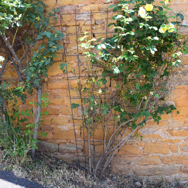 Treillage mural LOUIS MOULIN éventail 75x200cm anthracite