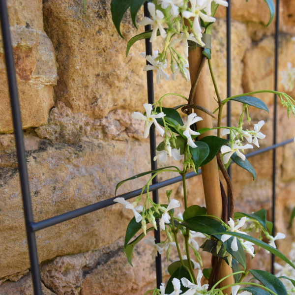 Treillage mural LOUIS MOULIN éventail 75x200cm anthracite