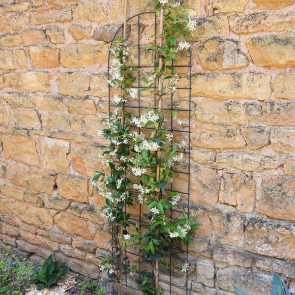 Treillage mural ou à planter LOUIS MOULIN arrondi 50x170cm anthracite