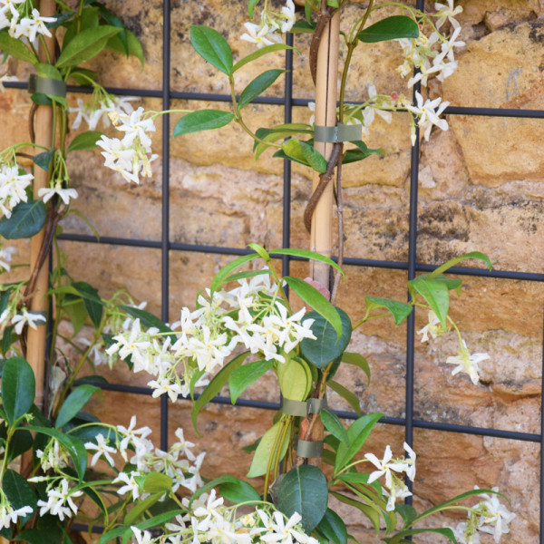 Treillage mural ou à planter LOUIS MOULIN arrondi 50x170cm anthracite