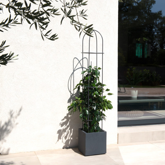 Obélisque pour plantes LOUIS MOULIN 3 cercles 28.5x150cm anthracite