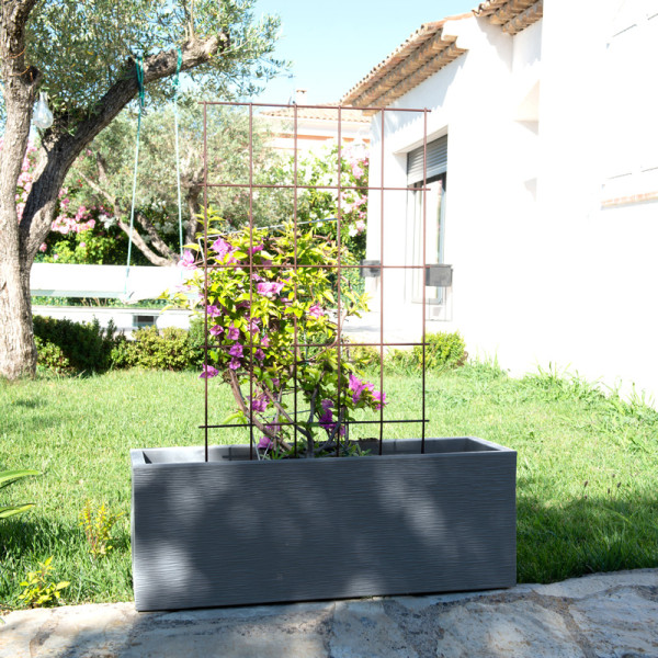 Treillage à piquer LOUIS MOULIN 50x100cm fer vieilli