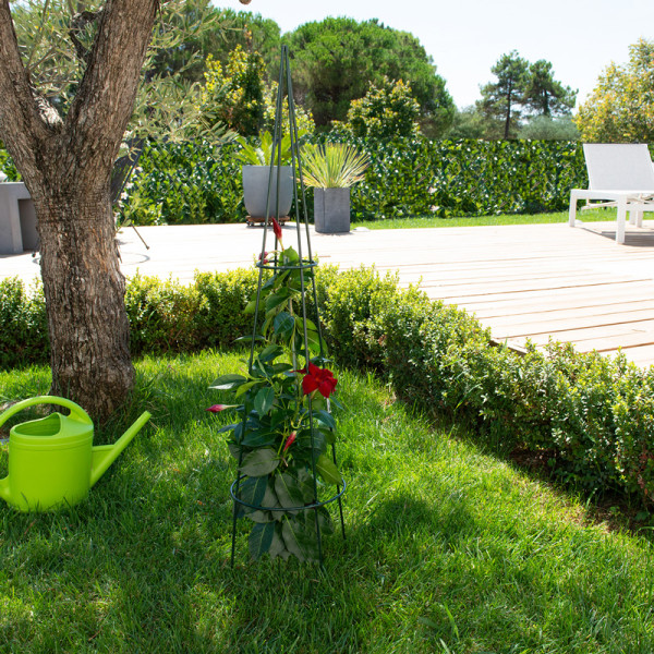 Support Tipis tuteur pour grimpantes LOUIS MOULIN en 20x100cm vert sapin