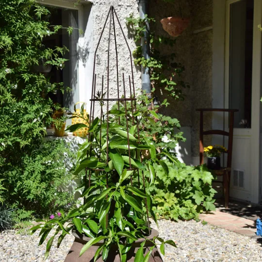 Support Tipis tuteur pour grimpantes LOUIS MOULIN 27x97cm fer vieilli