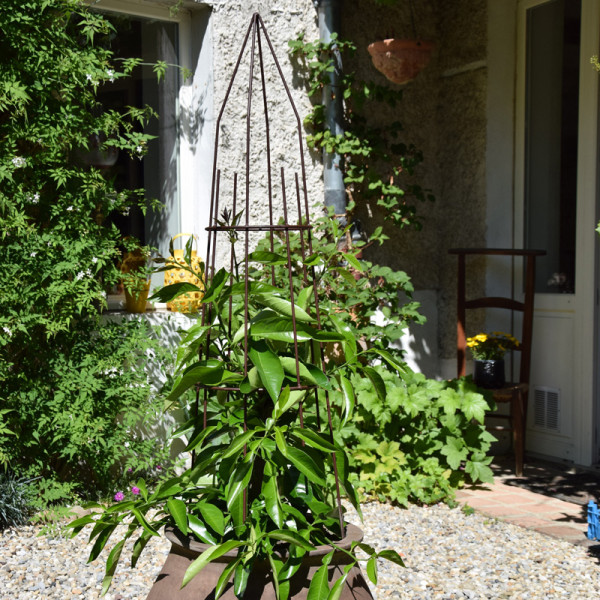 Support Tipis tuteur pour grimpantes LOUIS MOULIN 27x97cm fer vieilli