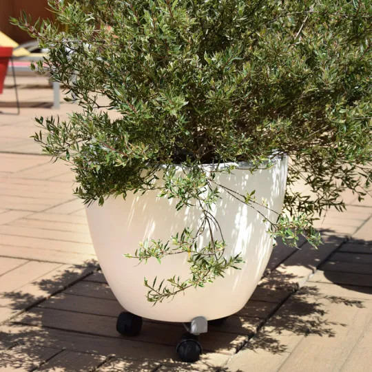 Roule-plantes LOUIS MOULIN extensible 27-37cm gris alu