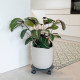 Roule-plantes LOUIS MOULIN design 30cm anthracite en acier