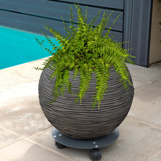Roule-plantes LOUIS MOULIN design 30cm anthracite en acier
