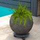 Roule-plantes LOUIS MOULIN design 30cm anthracite en acier