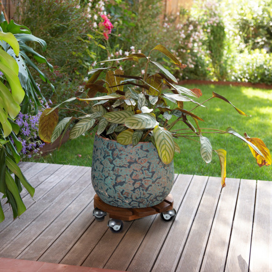 Roule-plantes LOUIS MOULIN Basics rond 30cm - 2 coloris