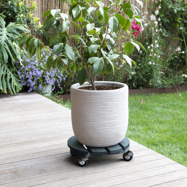 Roule-plantes LOUIS MOULIN Basics rond 30cm - 2 coloris