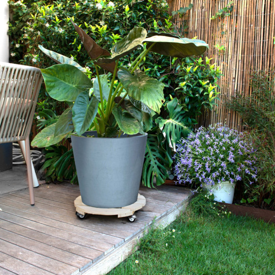 Roule-plantes LOUIS MOULIN Basics rond 37.5cm - 3 coloris