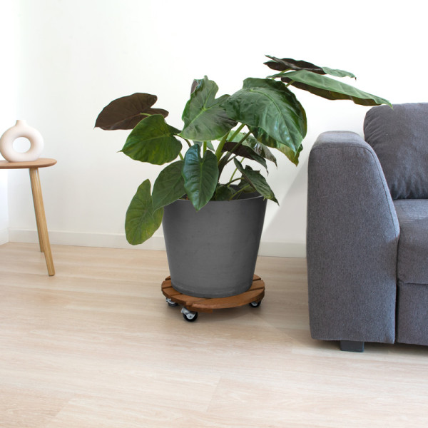 Roule-plantes LOUIS MOULIN Basics rond 37.5cm - 3 coloris