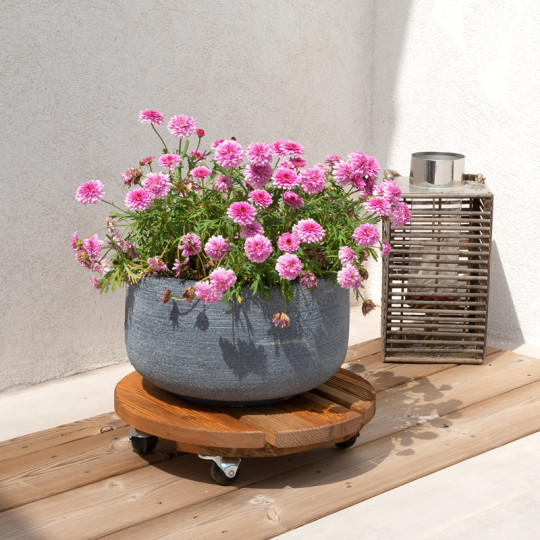 Roule-plantes LOUIS MOULIN Bois rond 37.5cm - 2 coloris