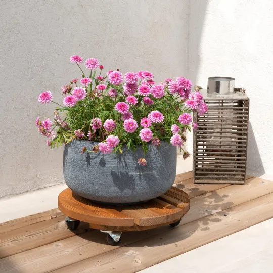 Roule-plantes LOUIS MOULIN Bois rond 37.5cm - 2 coloris