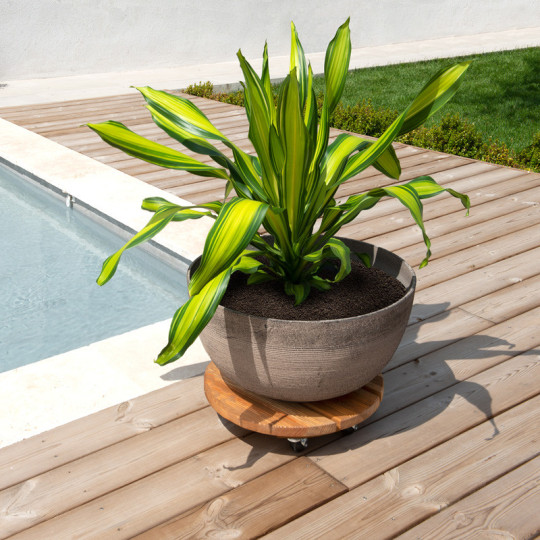 Roule-plantes LOUIS MOULIN Bois rond 45cm naturel